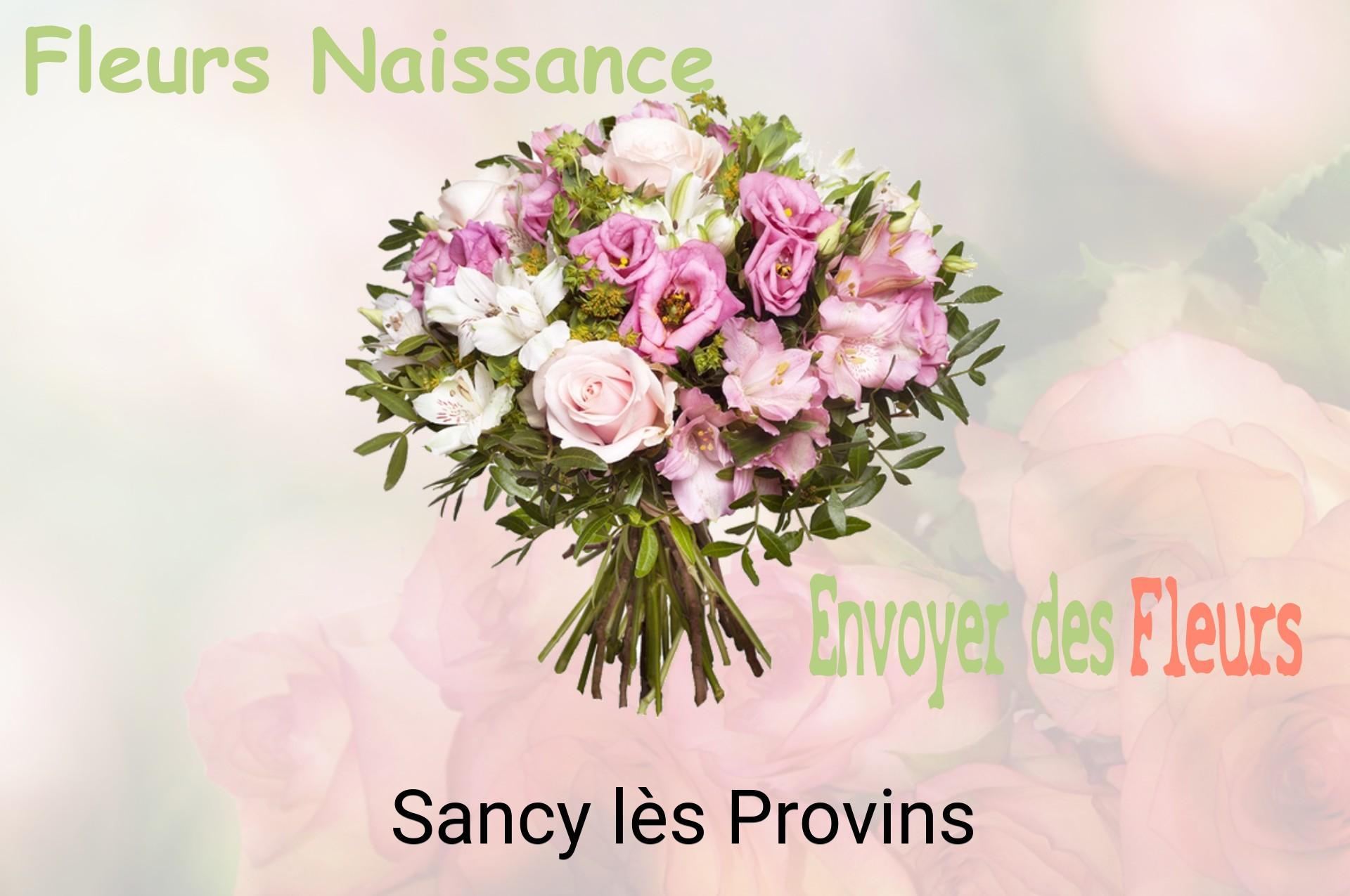 Bouquet de fleurs de naissance livré à Sancy-lès-Provins